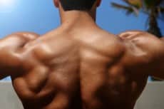 back of bodybuilder