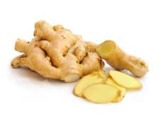 photodune-1826593-ginger--xs
