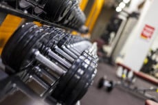 Weight Rack. Gym weights. Dumbbells