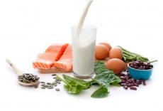 Protein diet