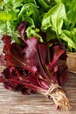Lettuce.