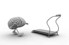 photodune-5729682-brain-xs