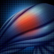 Human Muscle Injury