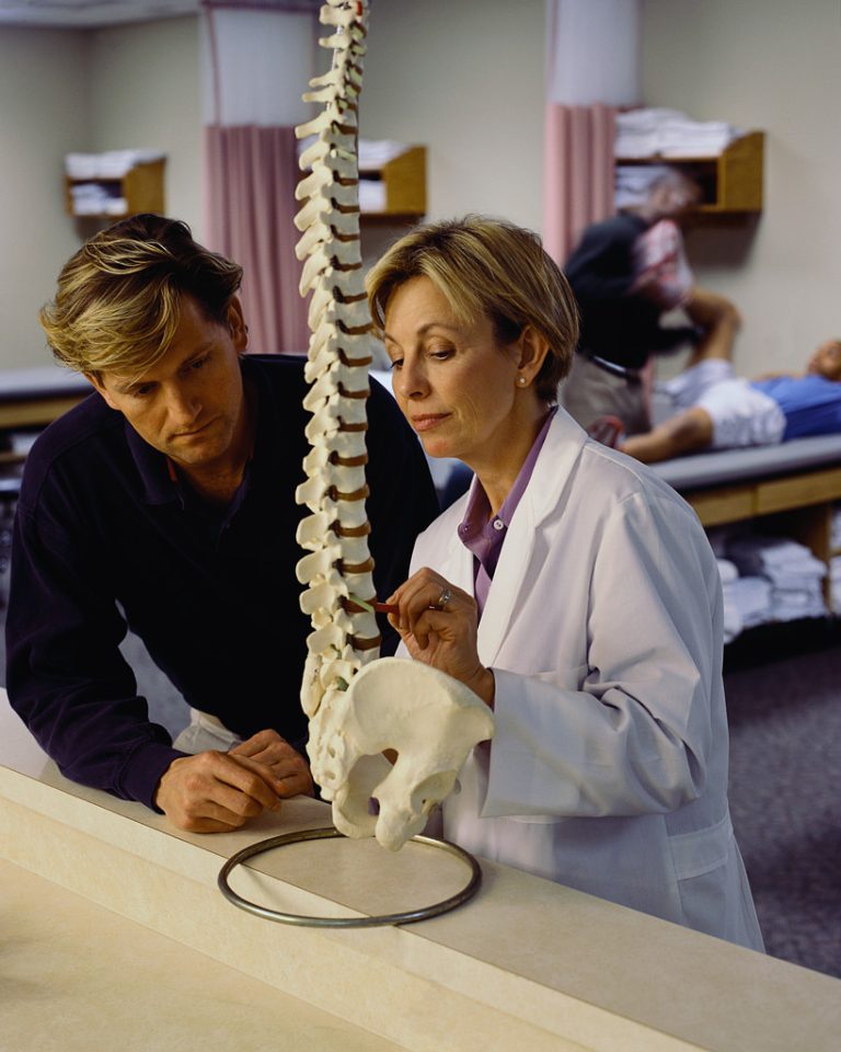 Doctor Examining Model of Spine
