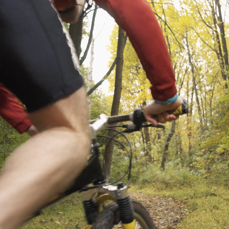 Cropped Biker in Forest