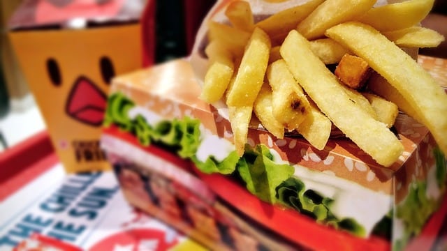 burger-1868732_640