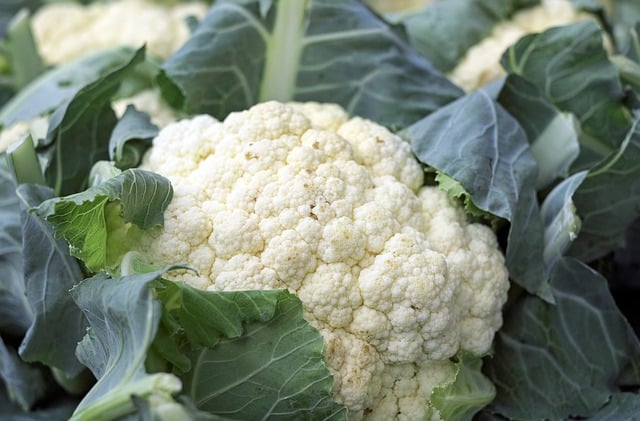 cauliflower-1465732_640