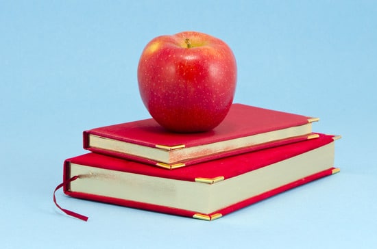 photodune-2447955-gilded-business-diary-and-red-apple-xs