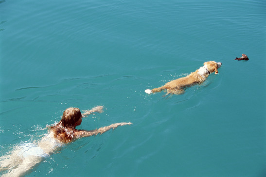 Young woman swimming with dog,