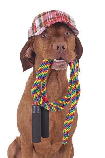 photodune-4034020-im-ready-for-skipping-xs