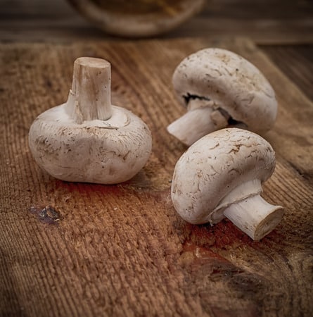 photodune-4713850-mushrooms-xs