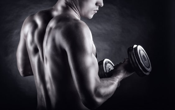 photodune-6272213-workout-xs