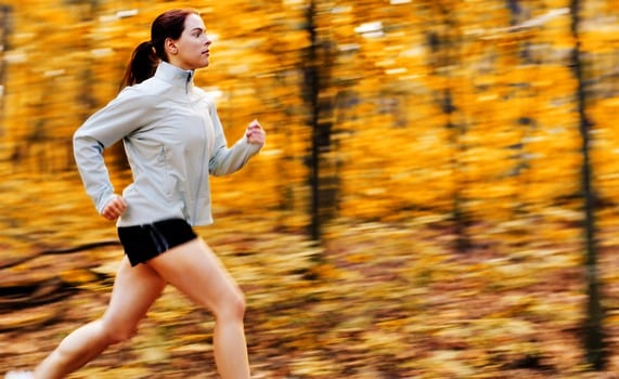 Fall Forest Runner