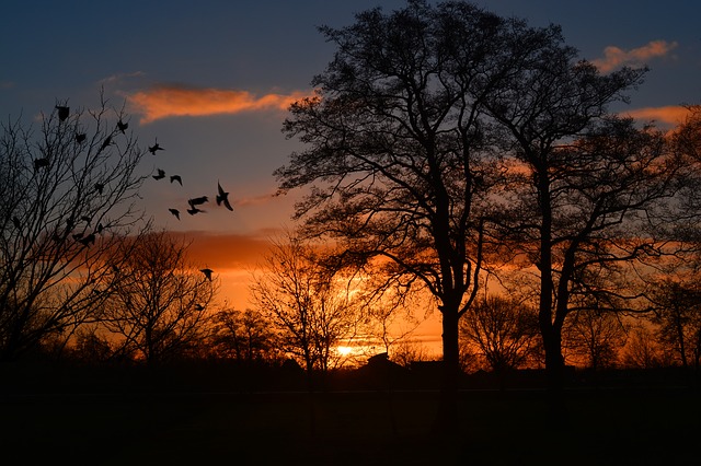 sunrise-274257_640