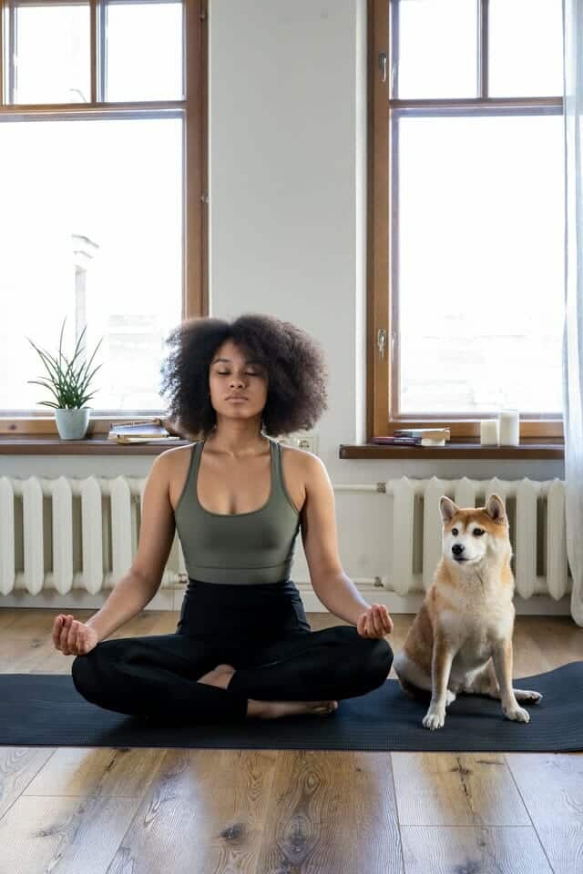 woman-girl-animal-dog-4056529